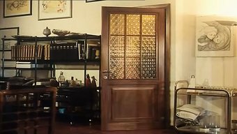 রেট্রো পর্...
