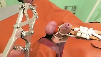 বিডিএসএম ক...