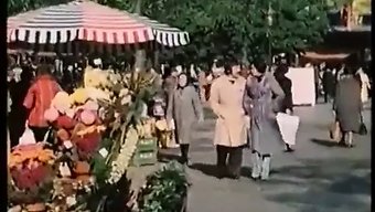 জার্মান মে...