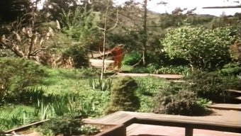 জেরার্ড দা...