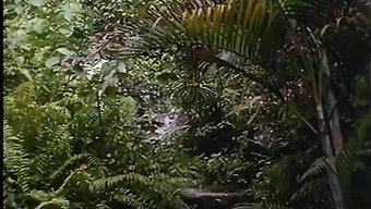 ভিডিও ট্যা...