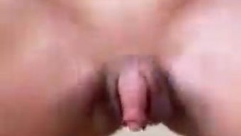 টাঙ্গা ব্র...