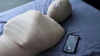 রক্সি দ্য ...